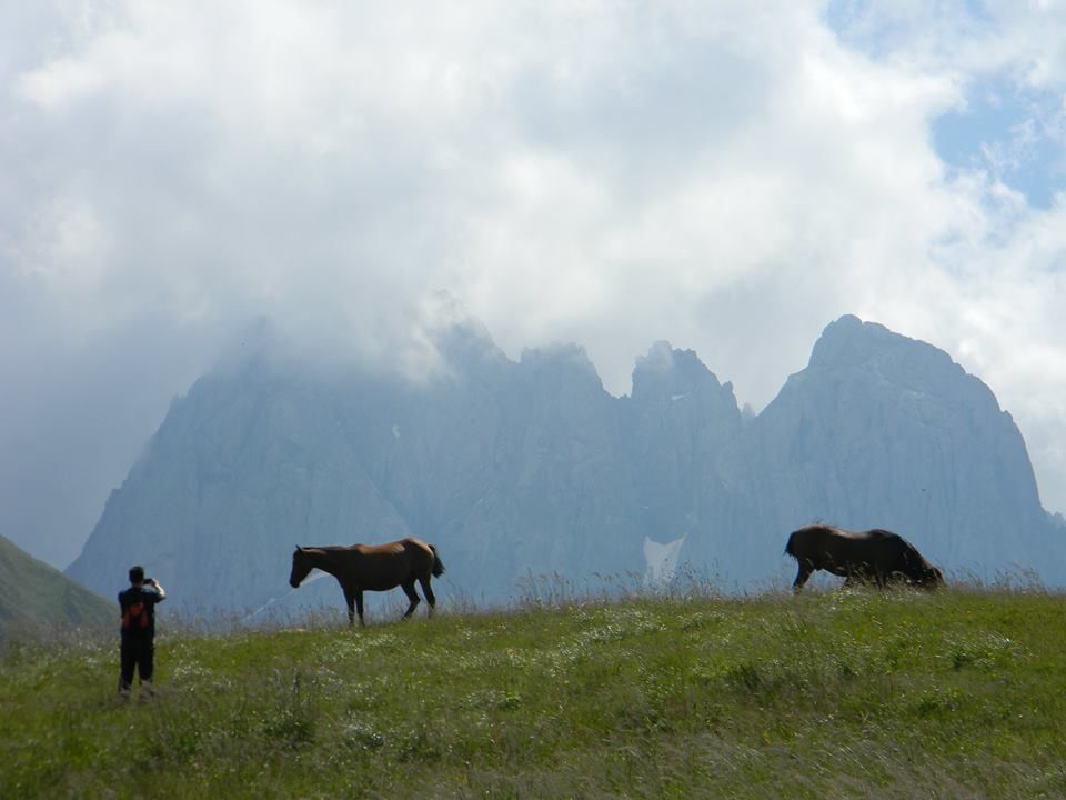 ულამაზესი ჯუთა და ჭაუხი