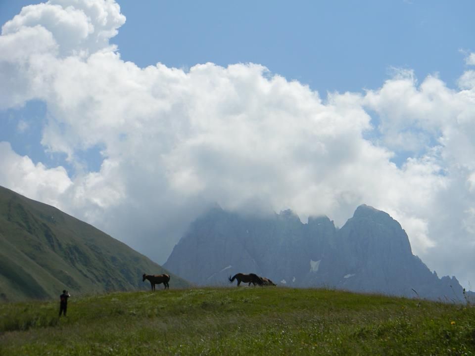 ულამაზესი ჯუთა და ჭაუხი