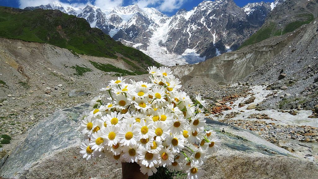 დღიანი ტური სვანეთში