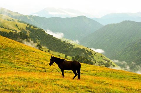 დღიანი დაუვიწყარი ტური თუშეთში