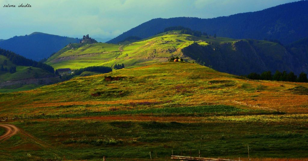 დღიანი დაუვიწყარი ტური თუშეთში