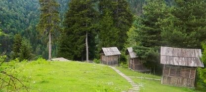 ტური საქართველოს ნებისმიერ კუთხეში