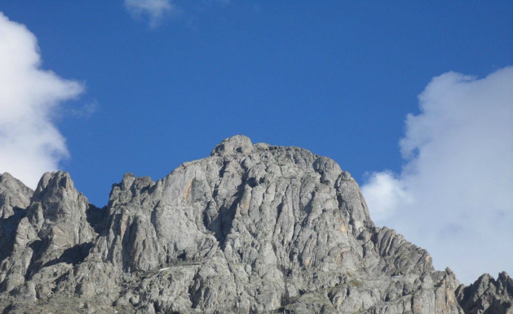 მისტიური ჯუთა მაის სრულდება მე- მიკროავტობუსის შევსება