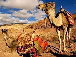 ტურები #იორდანიაში - სრული პაკეტი!