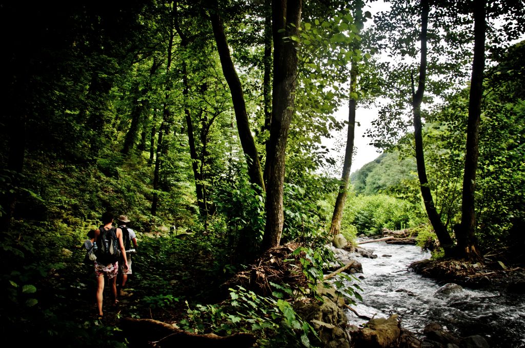 Travel, hiking and adventures.