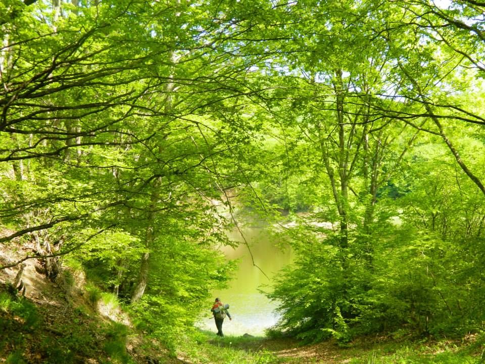 Travel, hiking and adventures.