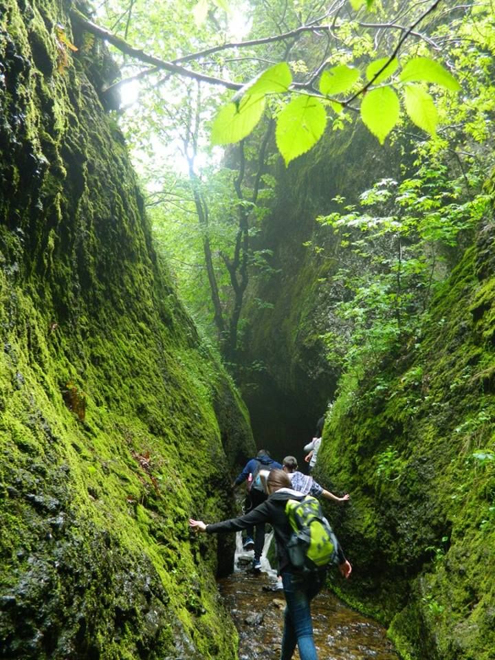 Travel, hiking and adventures.