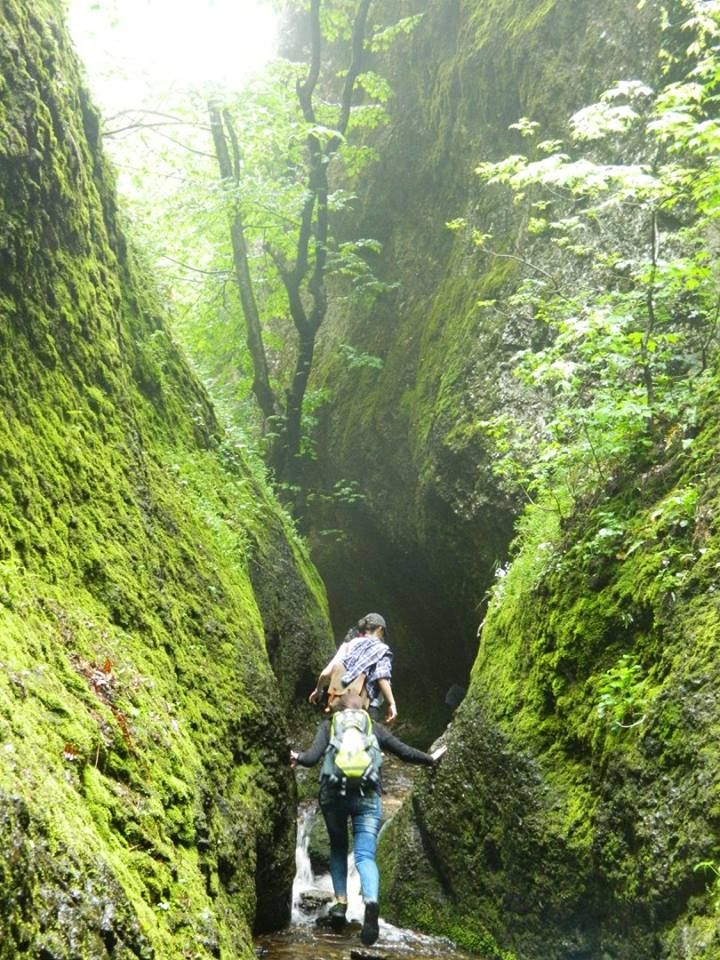 Travel, hiking and adventures.