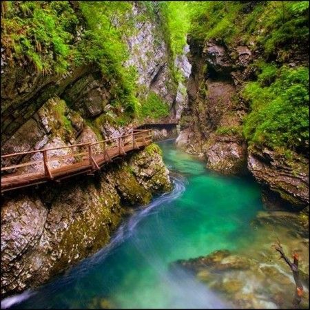 ტურები საქართველოში