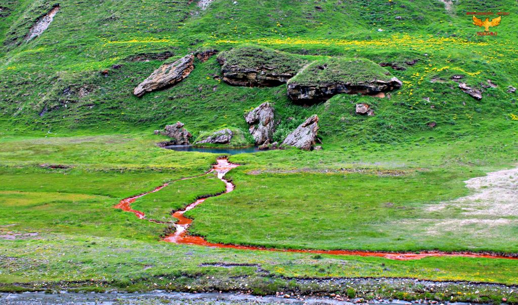 ლაშქრობა თრუსოს ხეობაში  ივნისს