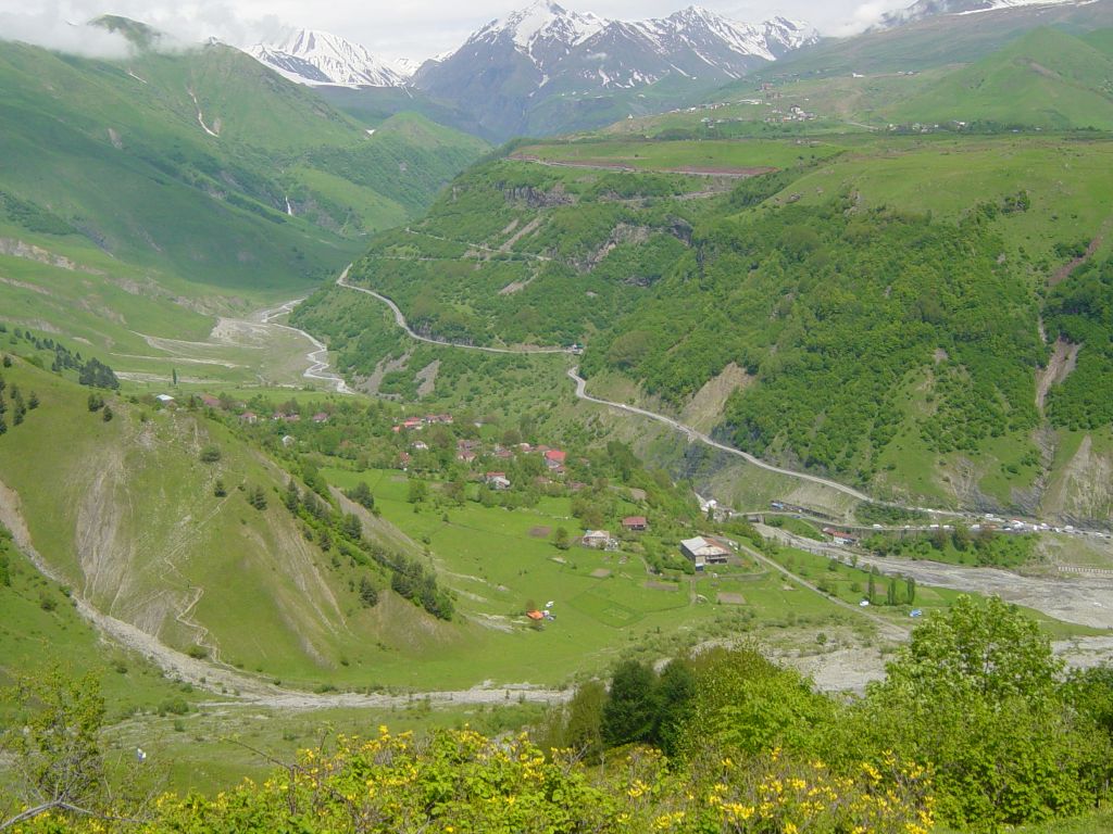 ლომისობა