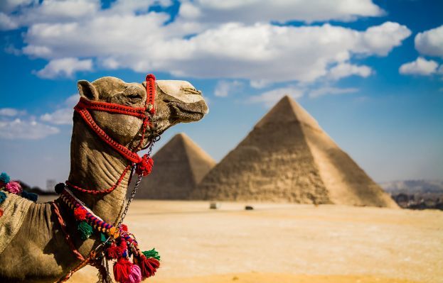 დაგეგმე ეგვიპტეში მოგზაურობა Hot Travel Group-თან ერთად!!