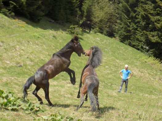 აღმოაჩინე სვანეთი ჩვენთან ერთად