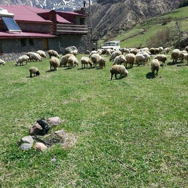 დაუვიწყარი ტური ყაზბეგში:ანანური, გერგეტი.