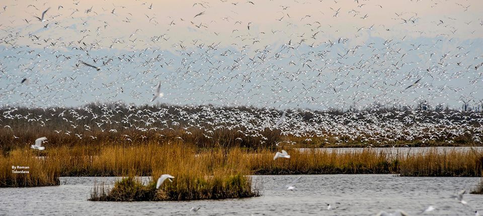ტური კოლხეთის ეროვნულ პარკში