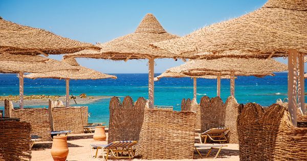 ჰურგადა დღის შემოთავაზება საუკეთესო ფასად!