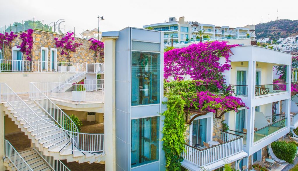 არ გამოტოოთ თურქეთის ტურები  - დან აქციები !!!