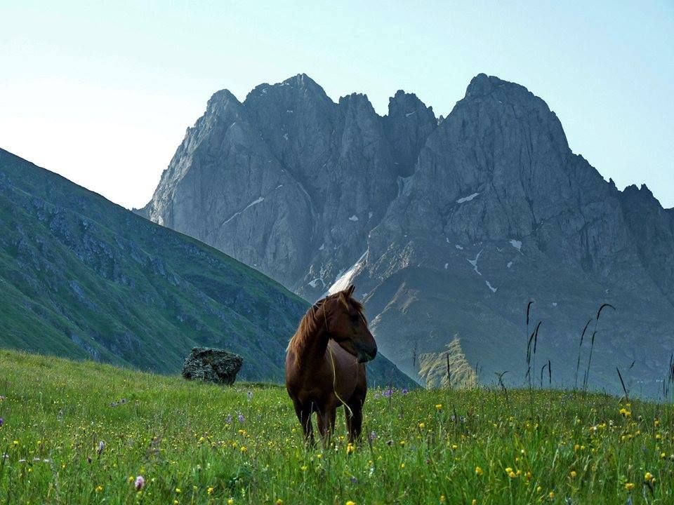 ჯუთა,ჭიუხები,აბუდელაურის ტბები,როშკა