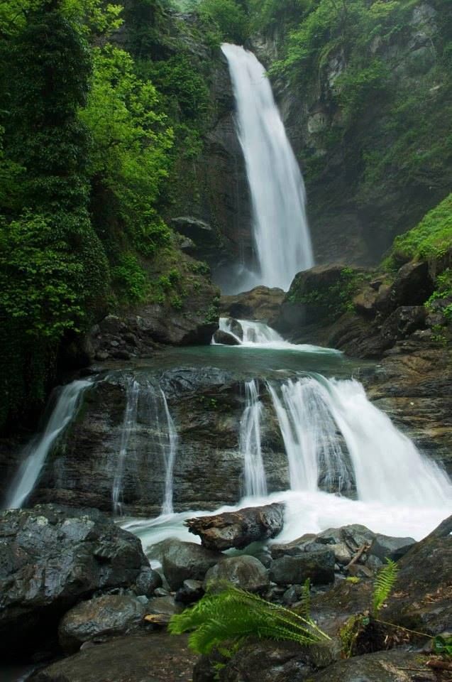 ტური ლაგოდეხის ნაკრძალში - გურგენიანის ჩანჩქერზე ( ივნისი, კვირა)