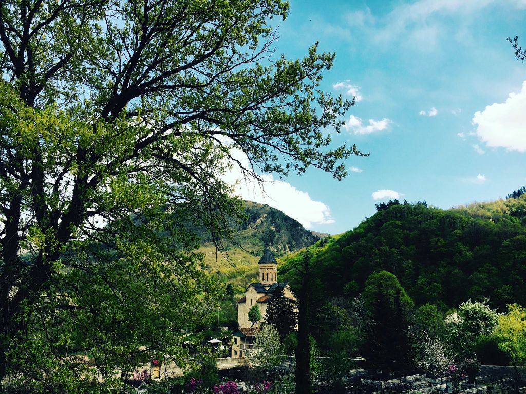 რაჭის  დღიანი ტური