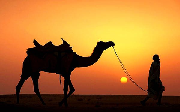 იჩქარეთ ეგზოტიკური ეგვიპტე დან!!