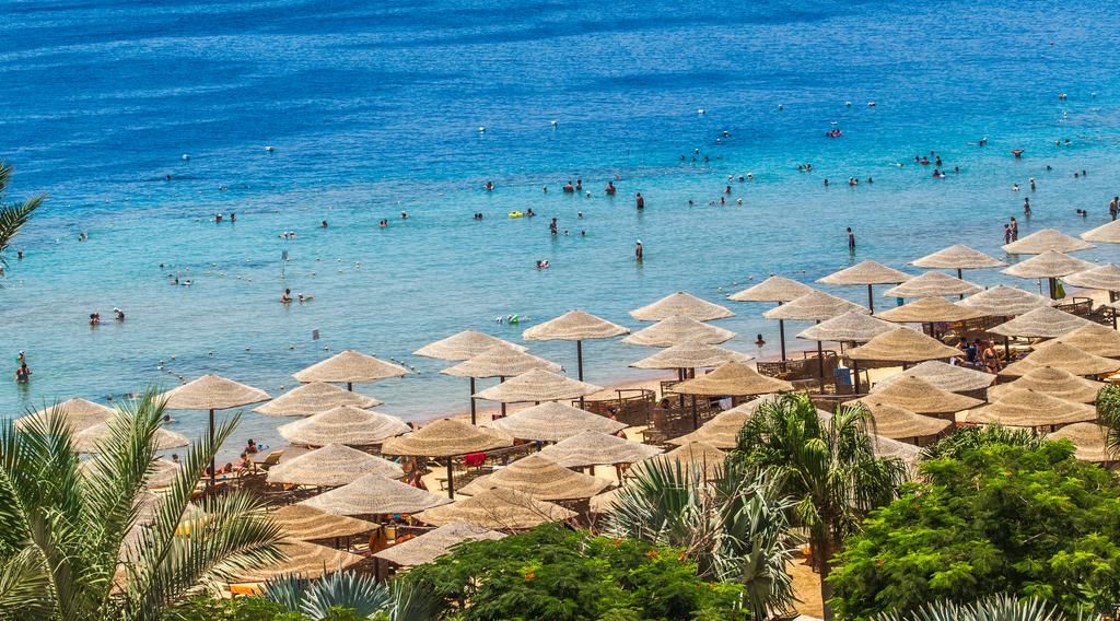 იჩქარეთ ეგზოტიკური ეგვიპტე დან!!