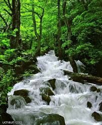 ვარძია, ხერთვისის ციხე, რაბათის ციხე,საფარა,ზარზმა,აბასთუმნის ობსერვატორია მწვანე მონასტერი, ბორჯომის პარკი