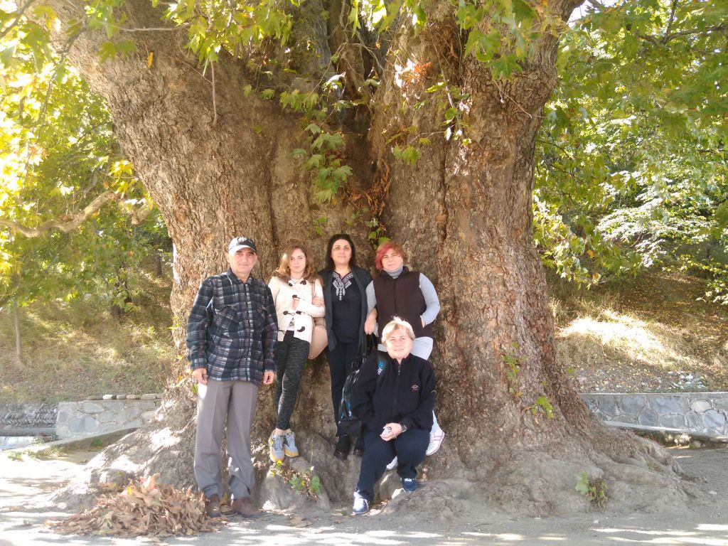 შუამთა, თელავი, წინანდალი, გრემი, ნეკრესი, ილიას ტბა...