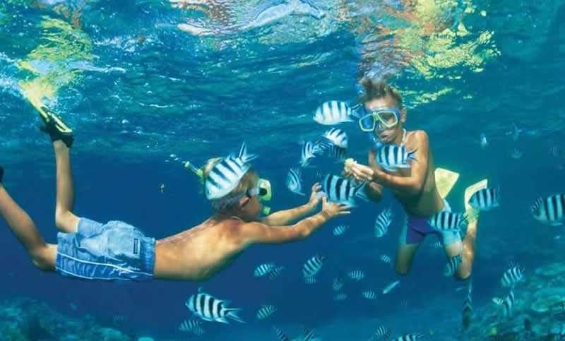 საუკეთესო სემოთაავზება ეგვიპტეზე 