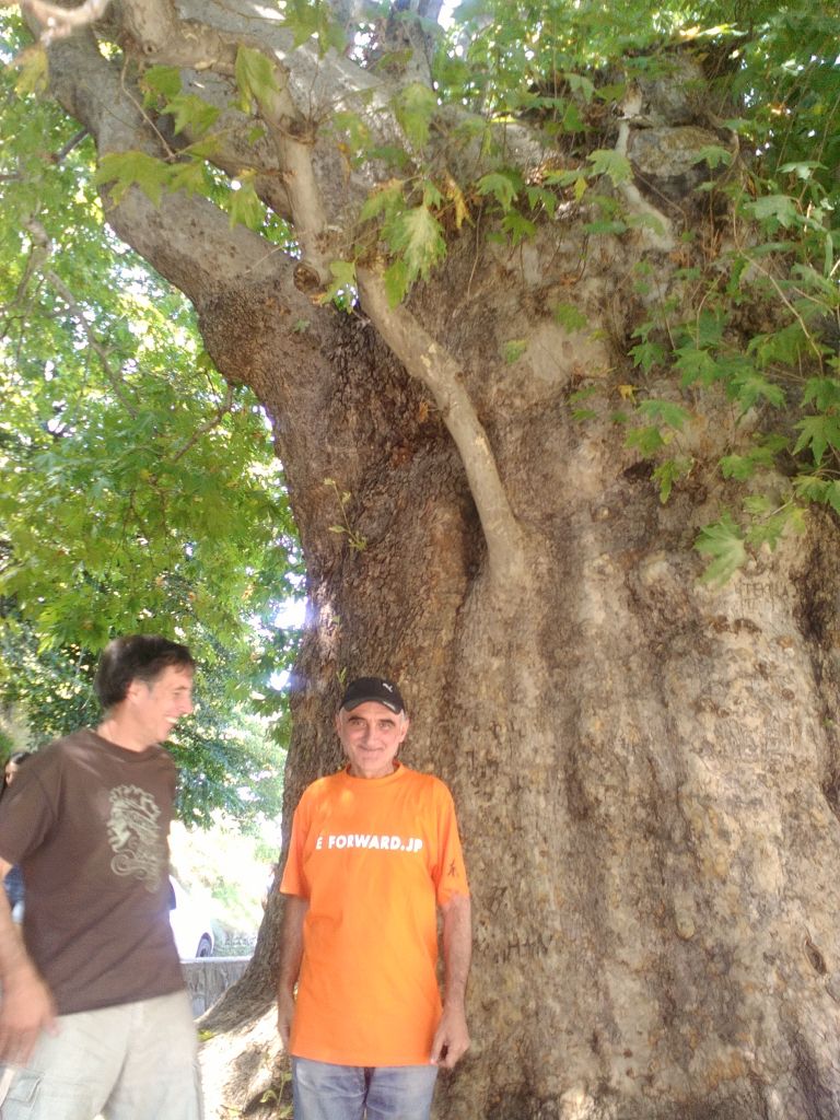 საუკუნის ჭადარი, "მიმინო",გრემი, ნეკრესი, ილიას ტბა, ლოპოტას ტბა...