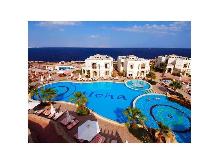 აქცია შარმ ელ შეიხში!