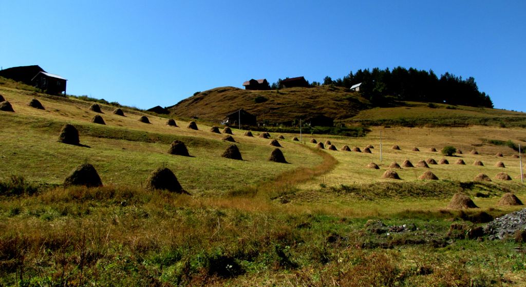 ჯიპ ტური თუშეთში