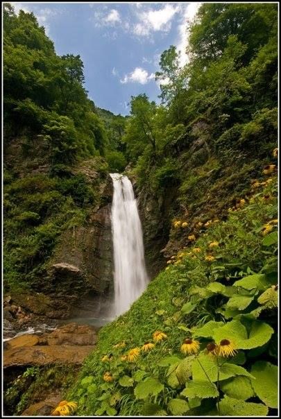 ლაგოდეხის ნაკრძალი ( გურგენიანის ჩანჩქერი)