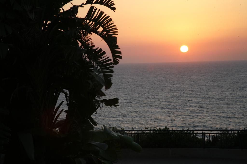 I S R A E L საექსკურსიო ტური