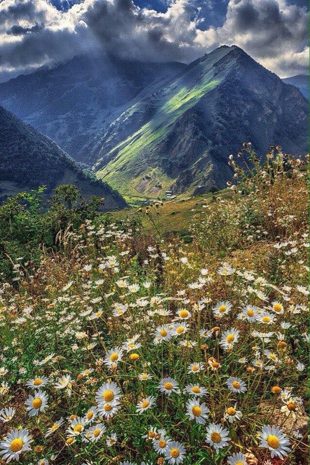 დღე თუშეთში თუშ გიდთან ერთად