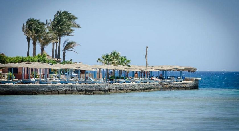 წითელი ზღვის , უსასრულო ქვიშიანი პლაჟები, შესანიშნავი პირობები სერფინგისა და დაივინგისთვის, ულამაზესი წყალქვეშა სამყარო თქვენ გელით!!!