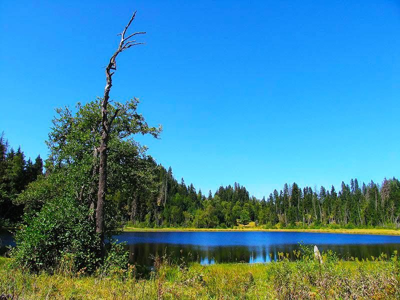 მოირონინე კახისის ტბა და წეროს ტბა  ივნისს,