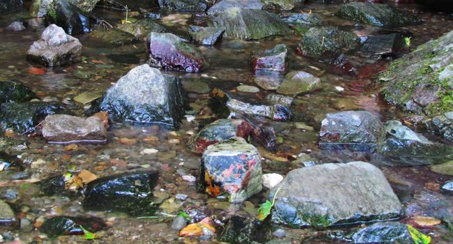 ერთდღიანი დაუვიწყარი ტური ისტორიულ სამცხე-ჯავახეთში- ლ