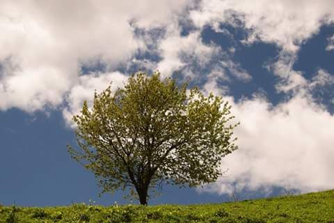 აბუდელაურების ფერადი ტბები  <