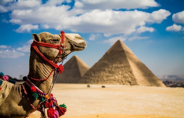 იჩქარეთ !!! მხოლოდ დღეს ჰურგადა