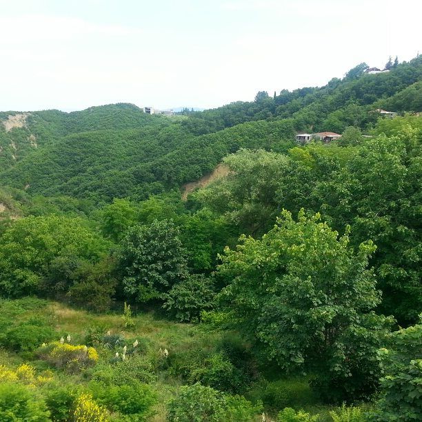 დავით-გარეჯი, სიღნაღი, ბოდბე