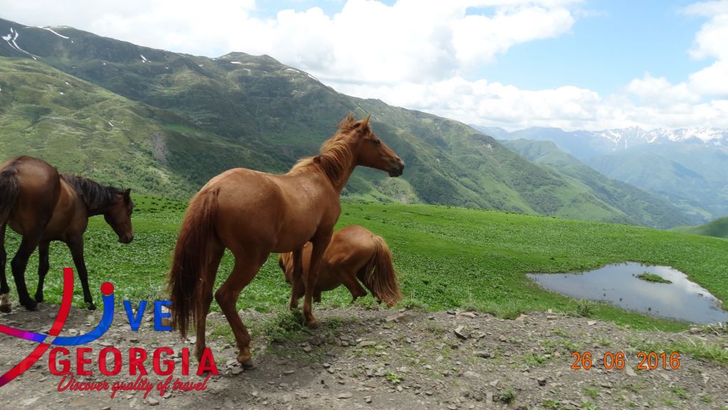 ტური ხევსურეთში