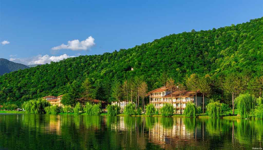 კორპორატიული ტურები