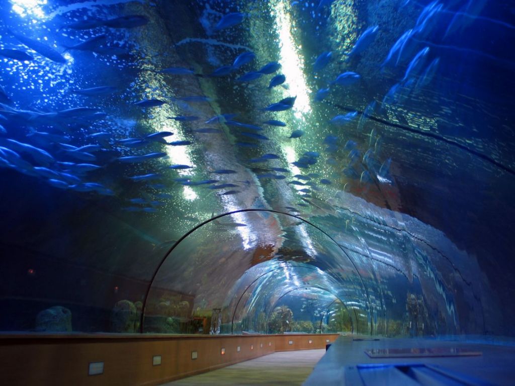 ვალენსია ევროდან