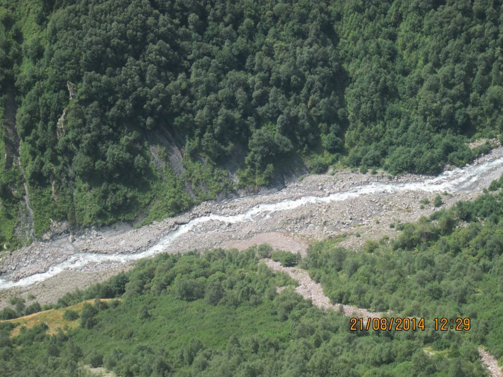 მეგზური