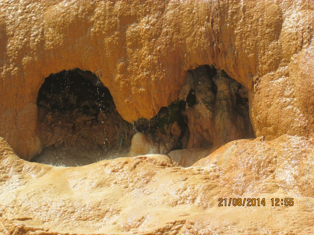 მეგზური