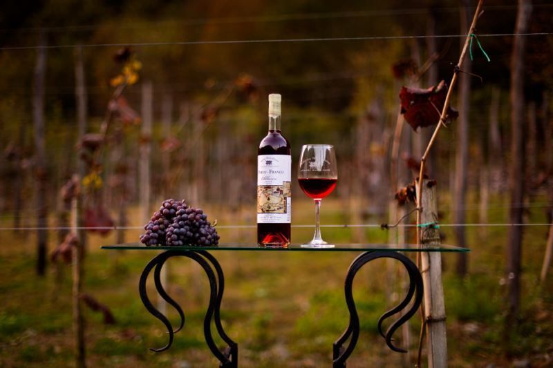 კორპორატიული ტურები