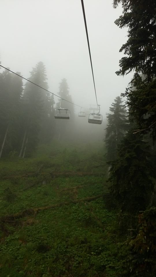 სვანეთი სამეგრელო.