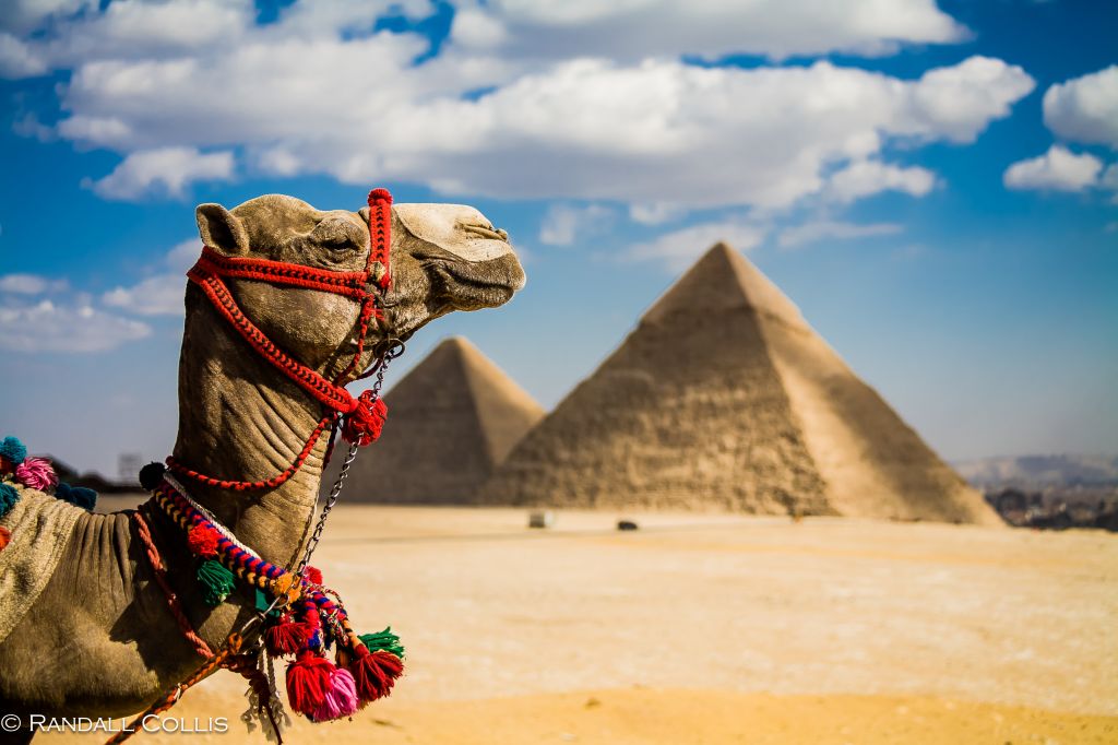 ეგვიპტე...   სასწრაფო სპეციალური შემოთავაზება
