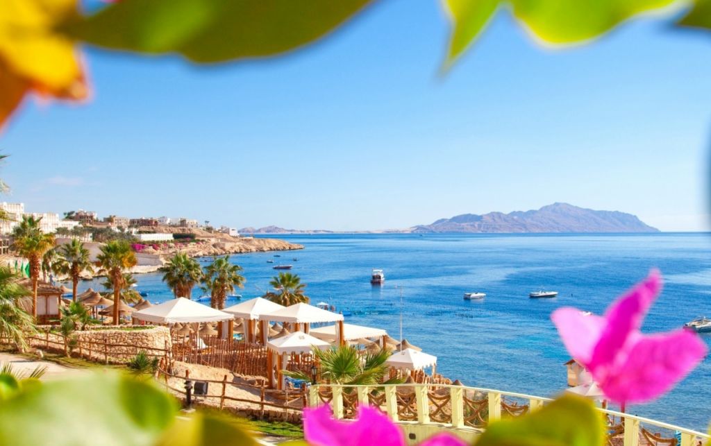 ეგვიპტე... სასწრაფო სპეციალური შემოთავაზება